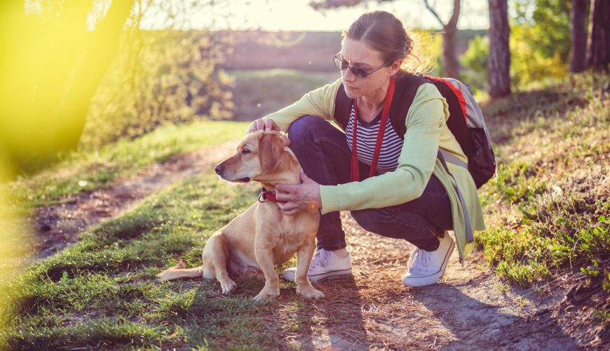 Preventing Ectoparasites