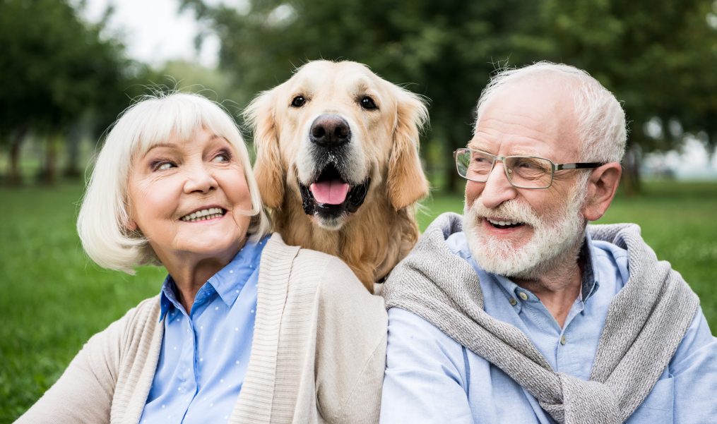 How to Properly Care for Your Senior Pet
