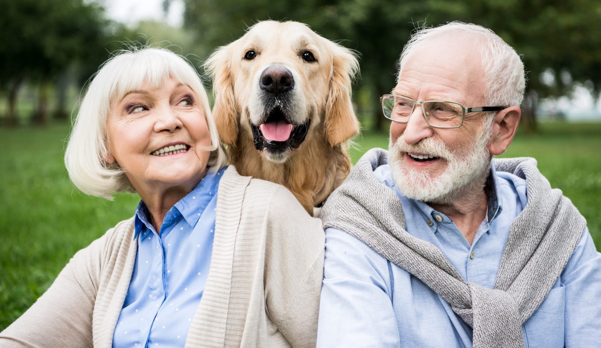 How to Properly Care for Your Senior Pet