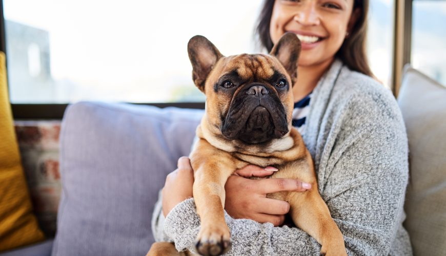 What Dog Owners Should Know About Canine Leptospirosis