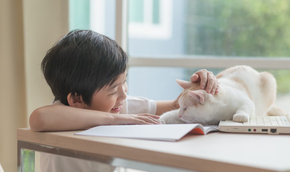 Teaching Your Children to Safely Interact With Pets