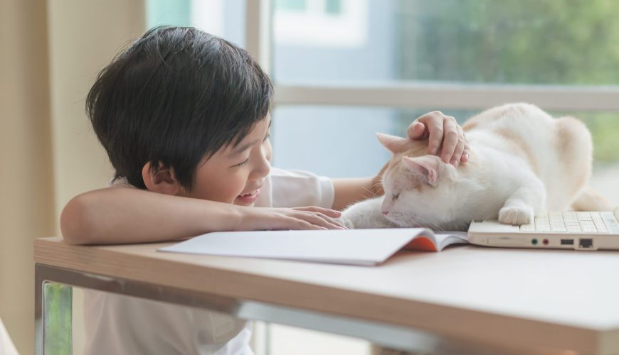Teaching Your Children to Safely Interact With Pets