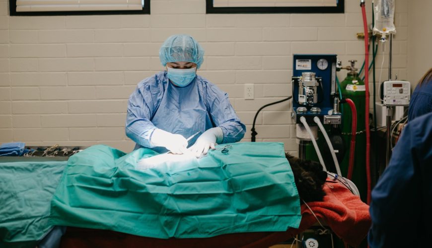 How Can I Help My Pet Recover After Surgery?