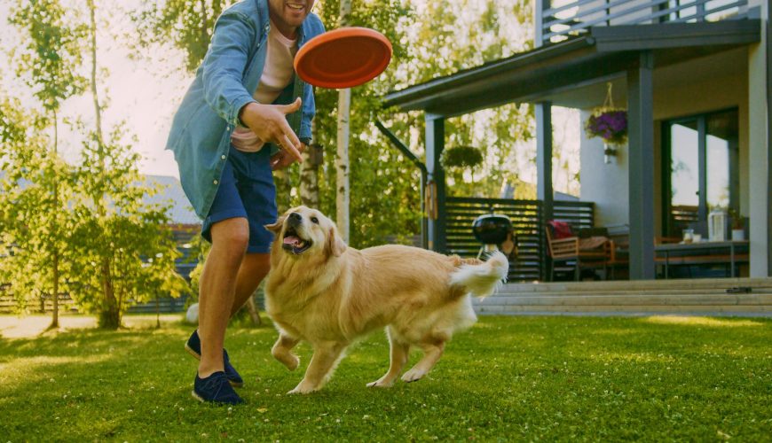 What Are the Best Exercises to Keep Your Dog Active and Healthy?
