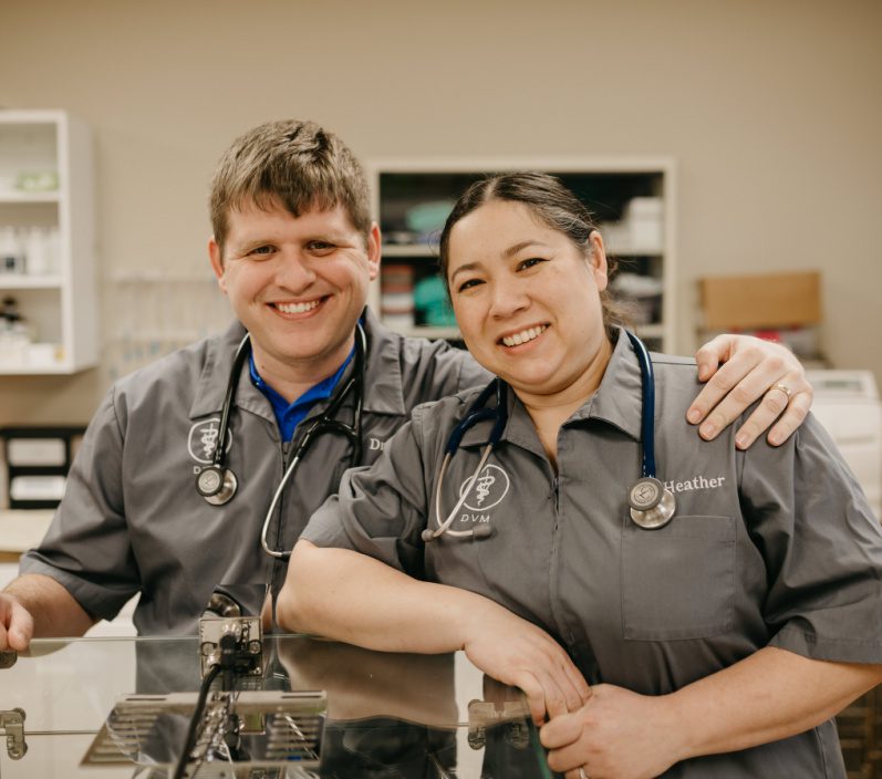 veterinary-hospital-1