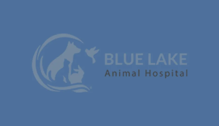 Blue Lake Animal Hospital logo