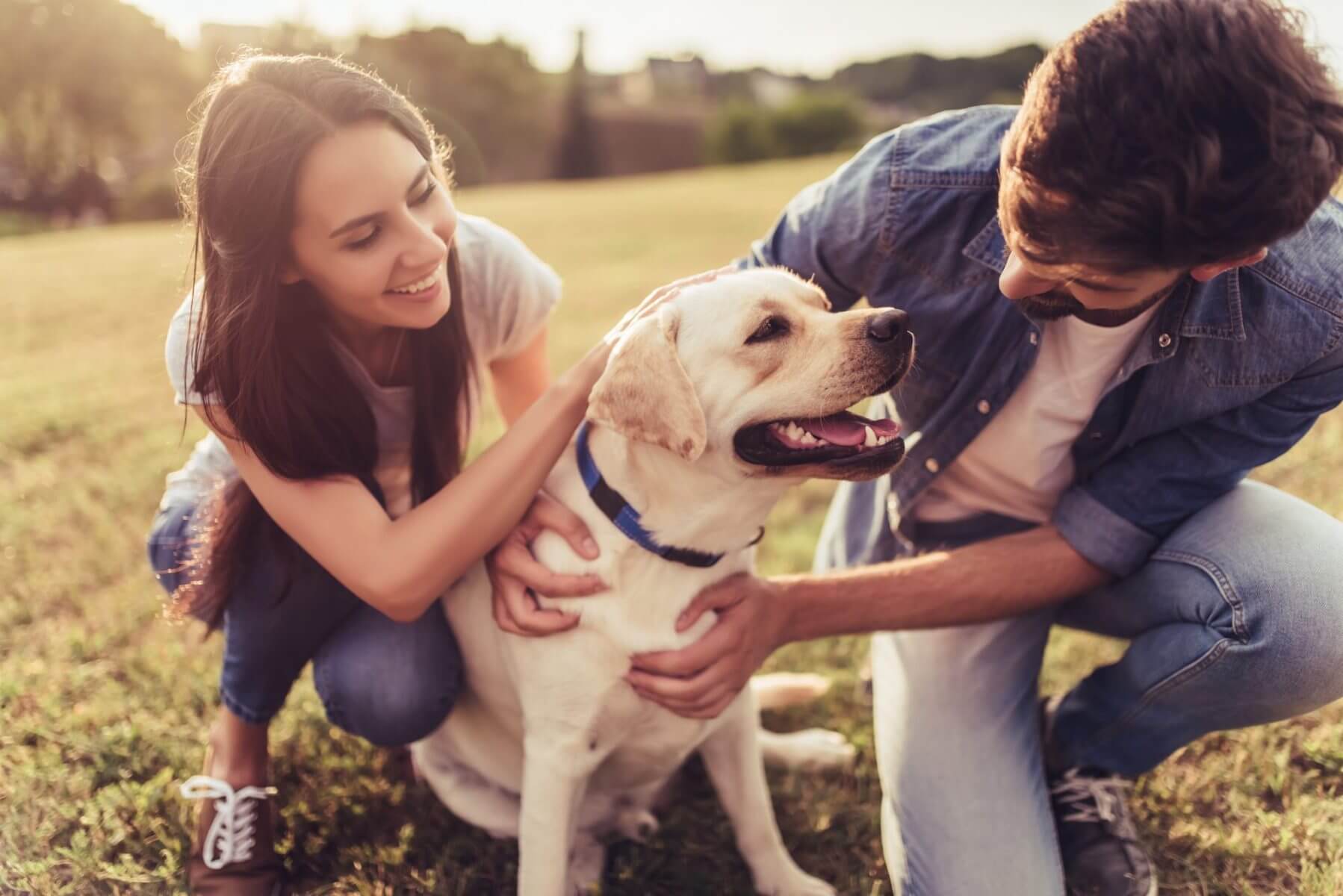 What Kind of Pet Is Right for My Family?