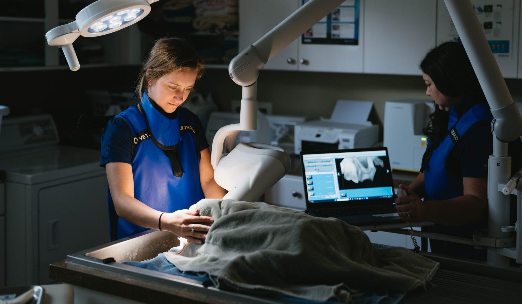 How Will My Pet Be Monitored During Surgery?