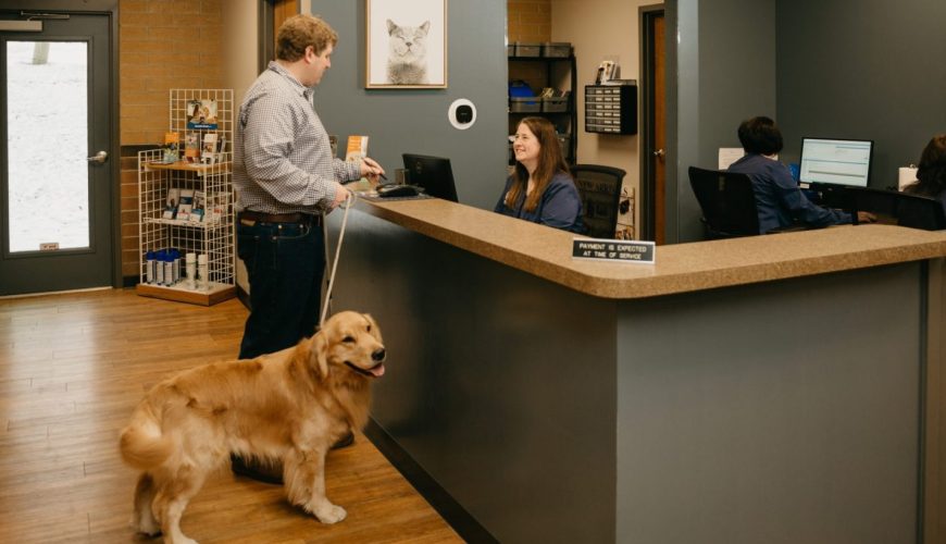 Should I Schedule a Wellness Check-Up for My Pet After Summer?