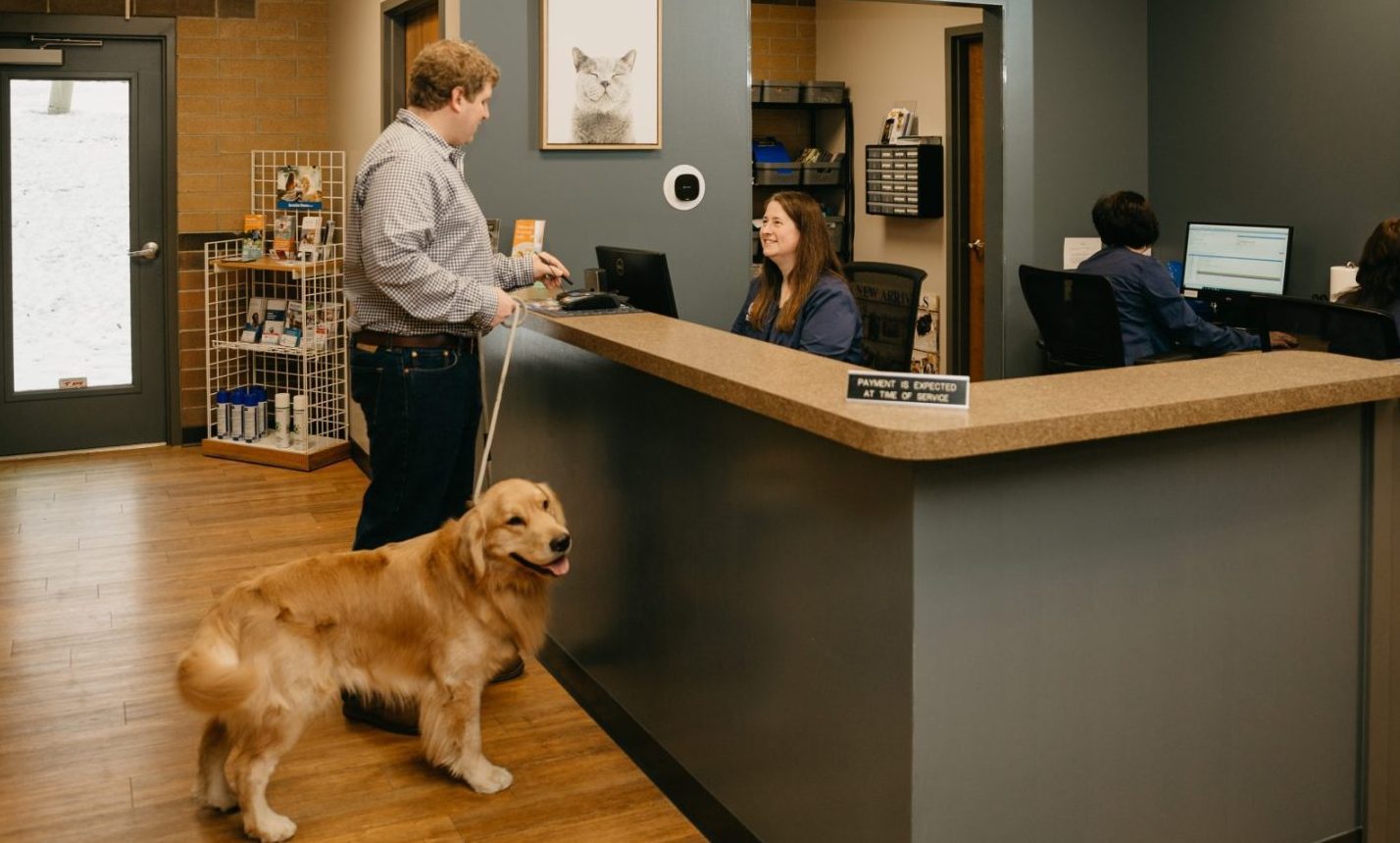 Should I Schedule a Wellness Check-Up for My Pet After Summer?