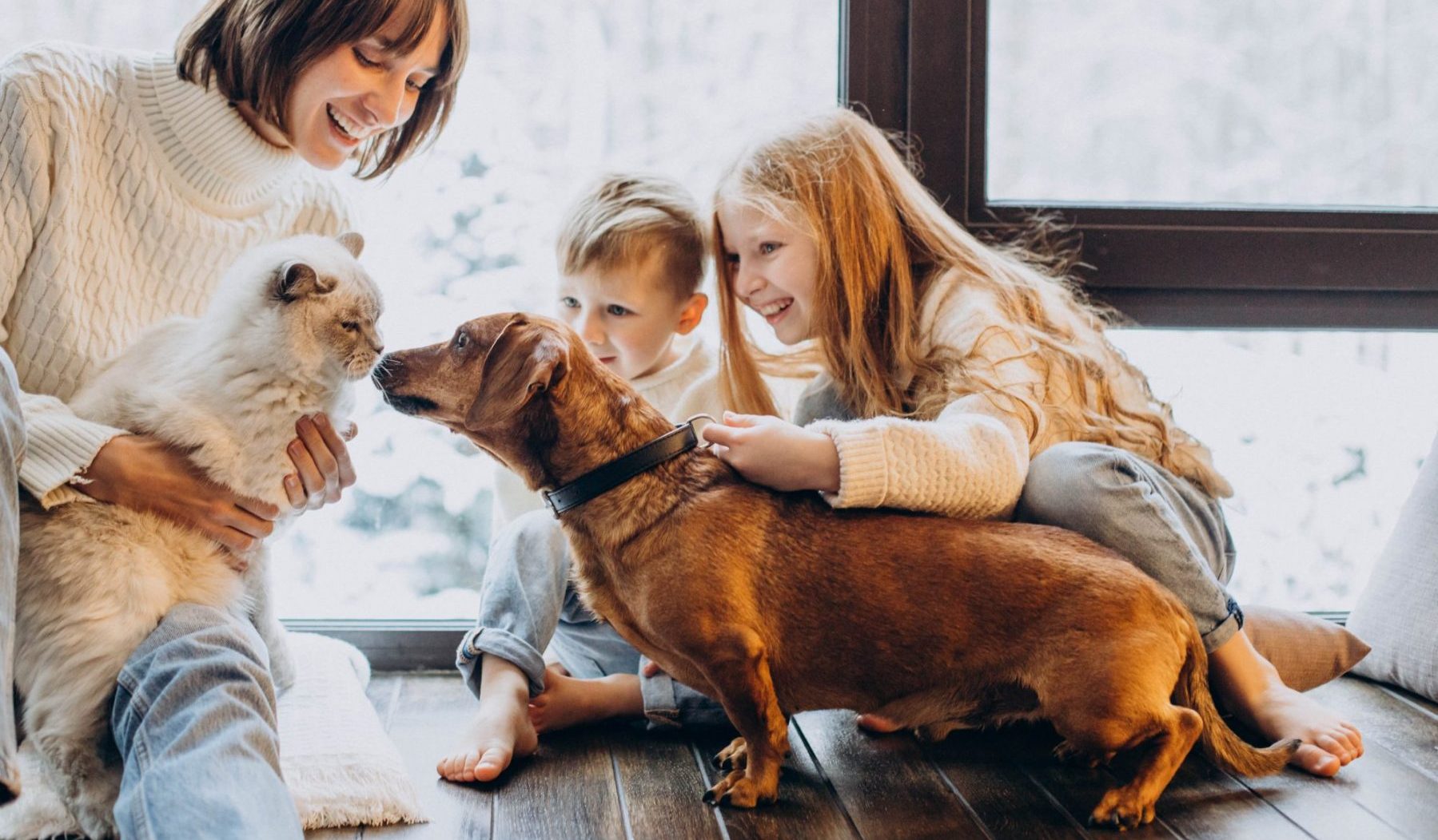 Celebrating National Pet Wellness Month!