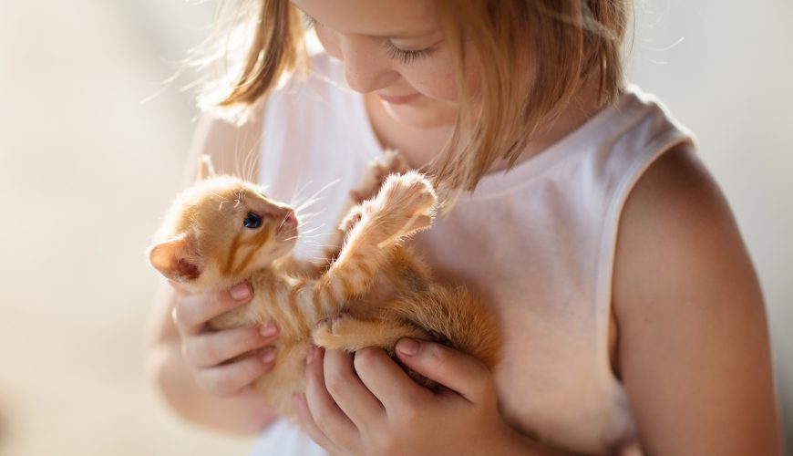 What Do New Pet Owners Need to Know in the First Year?