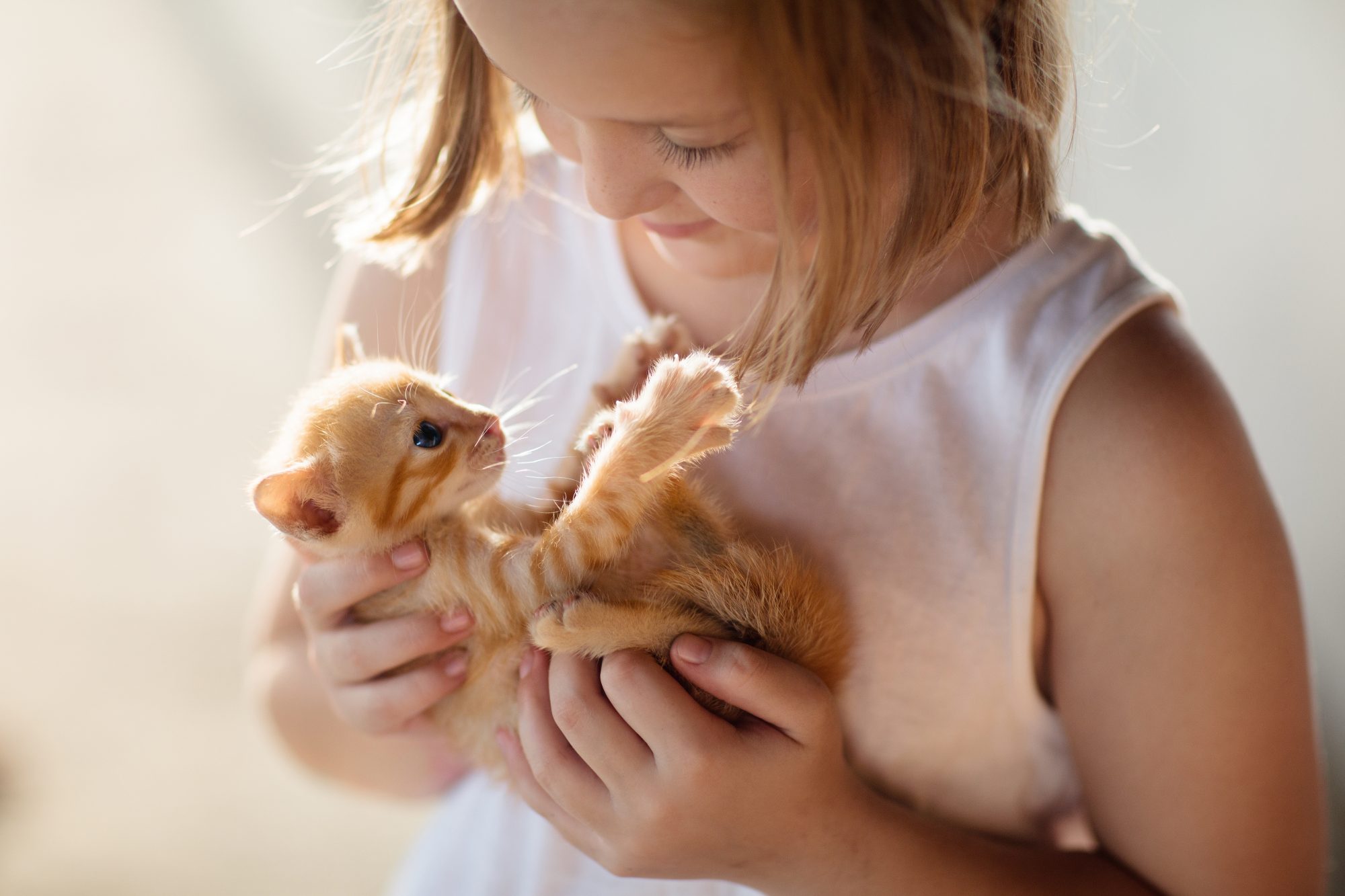 What Do New Pet Owners Need to Know in the First Year?