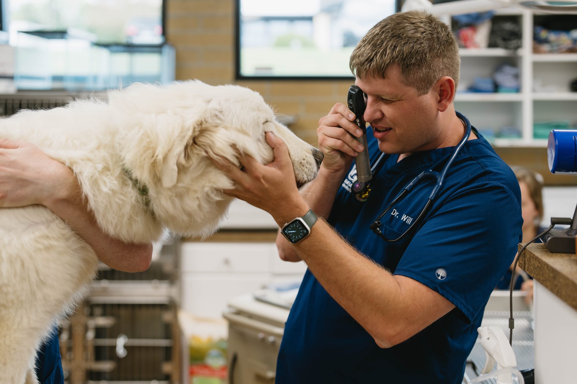 When Should You Worry About Your Dog Vomiting?